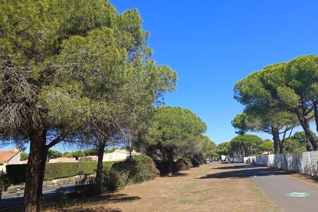 Studio Au Cap D'Agde Dans Les Pinedes ภายนอก รูปภาพ