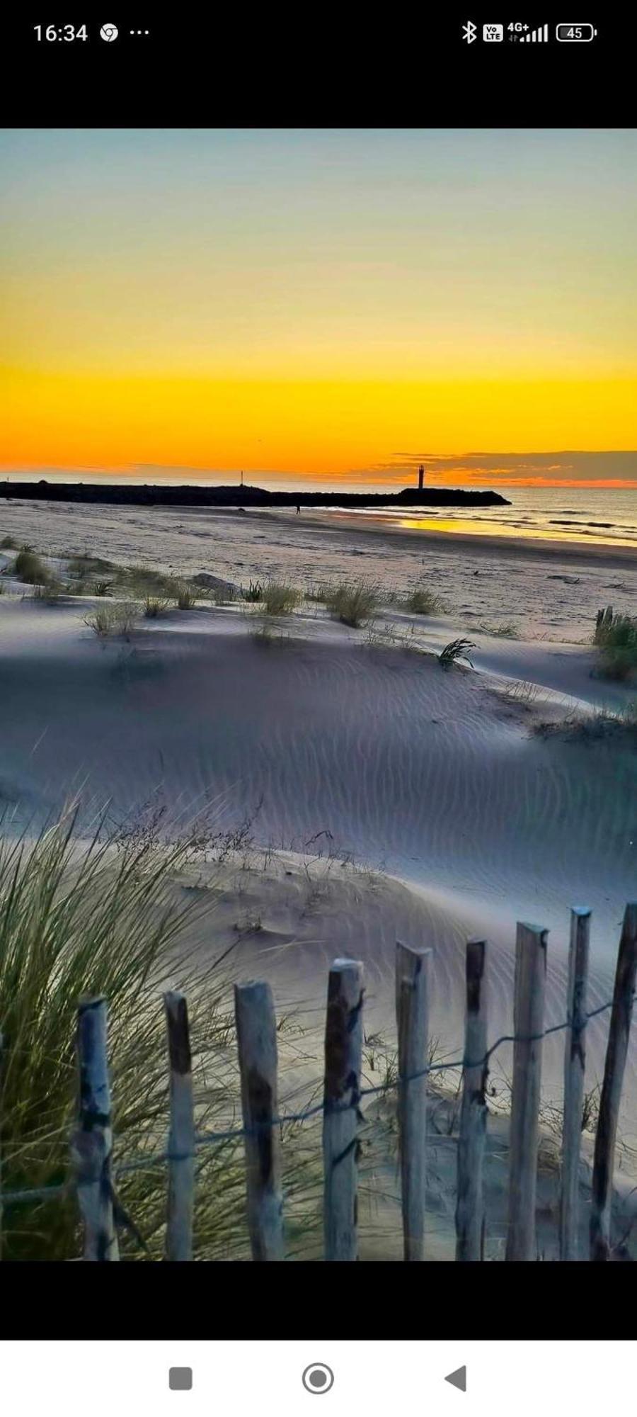 Studio Au Cap D'Agde Dans Les Pinedes ภายนอก รูปภาพ